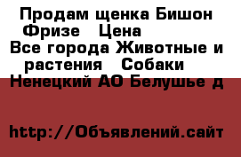 Продам щенка Бишон Фризе › Цена ­ 30 000 - Все города Животные и растения » Собаки   . Ненецкий АО,Белушье д.
